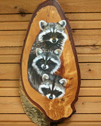 Racoons on Birch